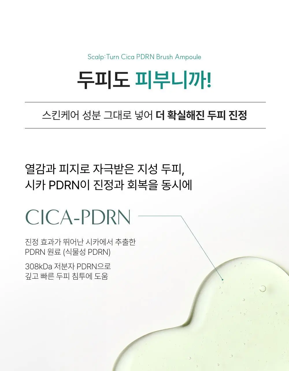 [포켓몬 에디션][비듬/각질케어]릴리이브 스칼프턴 시카 PDRN 브러쉬 앰플 100ml 2종 택1 상세페이지 25
